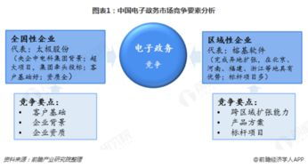 软件外包服务 电子政务发展的双刃剑